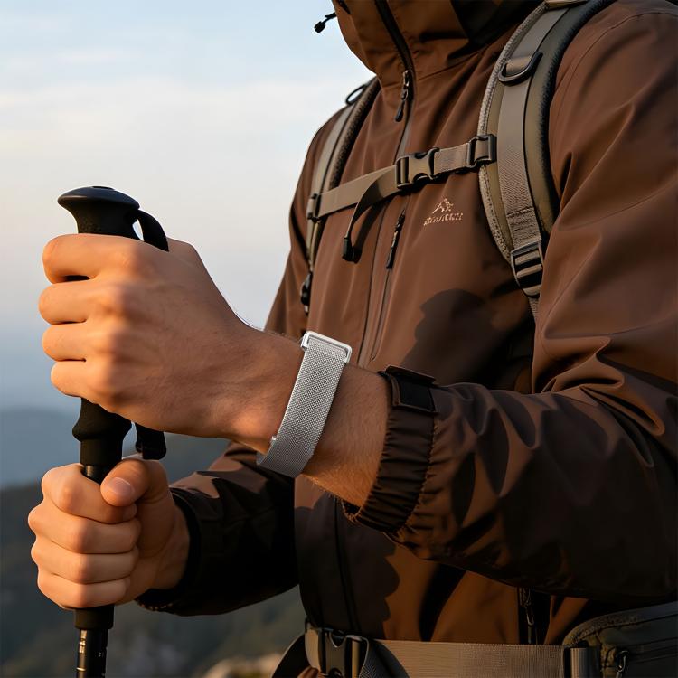 Cassa in metallo, cinturino in acciaio inossidabile con chiusura magnetica milanese integrata., For Google Fitbit Air