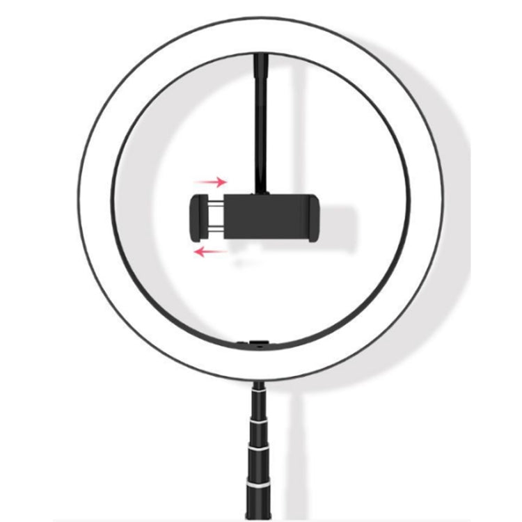 Luce di riempimento portatile 26 cm con staffa smartphone