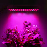 Lampada LED 45W spettro completo per piante