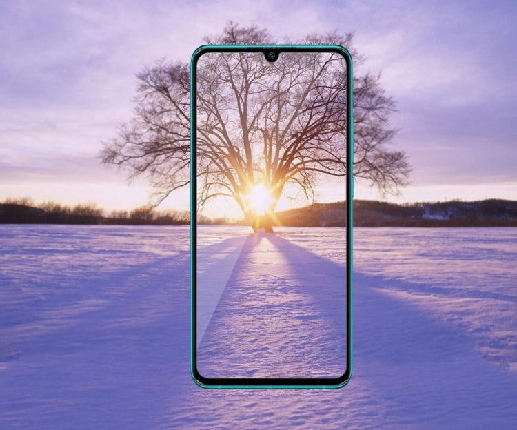 Pellicola vetro temperato Xiaomi Mi Note 10 Mi CC9 Pro 9H 0,33mm