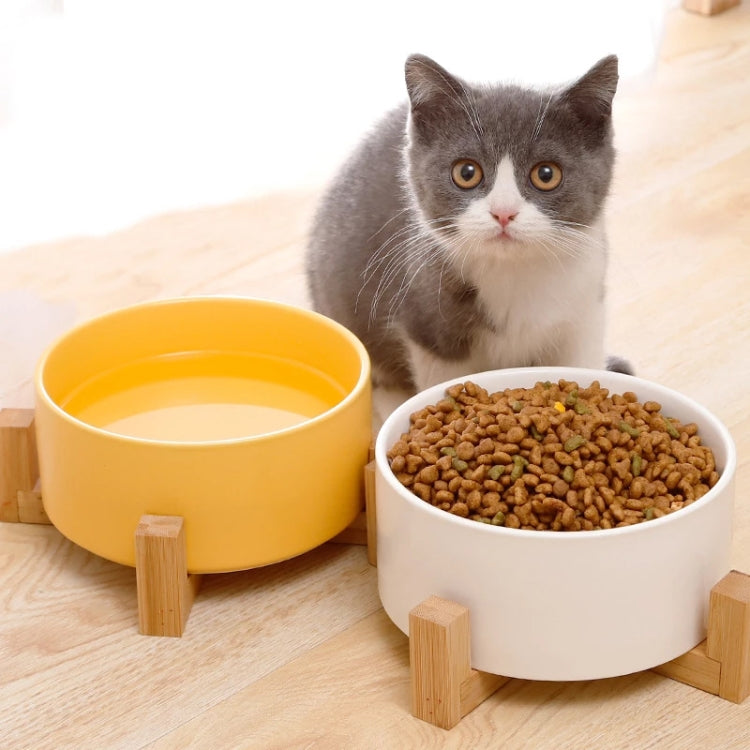 Ciotola in ceramica per gatti e cani con supporto in legno