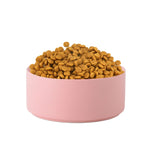 Ciotola in ceramica per gatti e cani con supporto in legno
