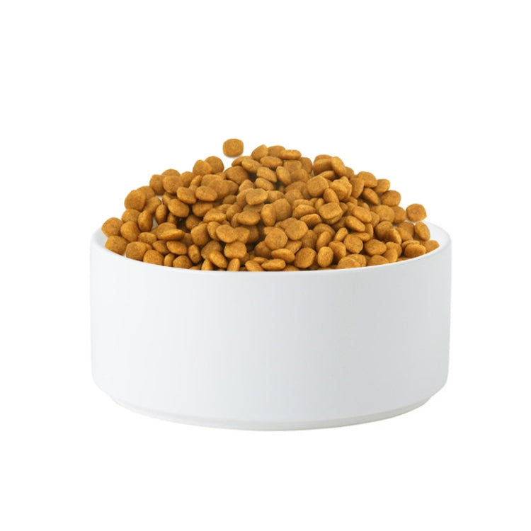 Ciotola in ceramica per gatti e cani con supporto in legno