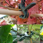 Set 5 clip da giardino in plastica per piante