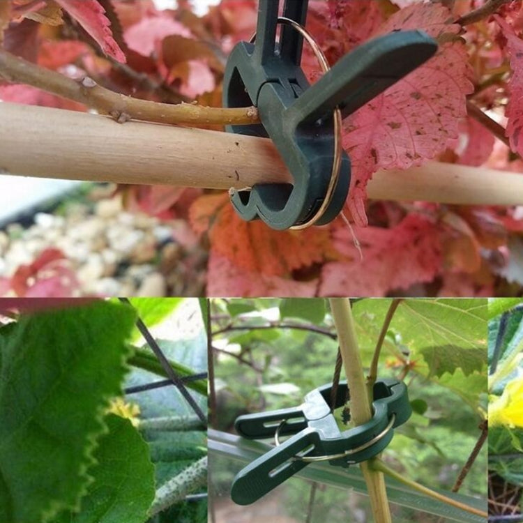 Set 5 clip da giardino in plastica per piante