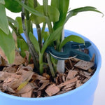 Set 5 clip da giardino in plastica per piante