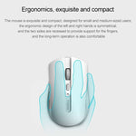Set mouse e tastiera wireless Rapoo X336M