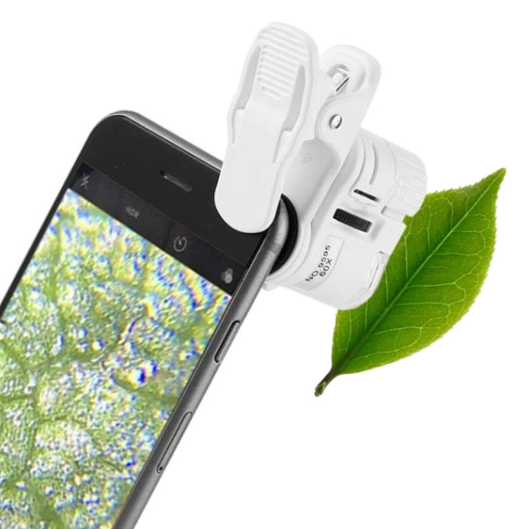Microscopio digitale 60x per smartphone con luce LED