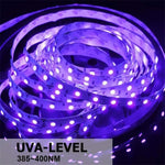 Striscia LED UV viola 3528 SMD 12V 5m o 10m IP65