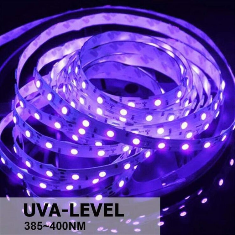 Striscia LED UV viola 3528 SMD 12V 5m o 10m IP65