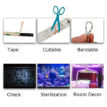Striscia LED UV viola 3528 SMD 12V 5m o 10m IP65