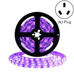 Striscia LED UV viola 3528 SMD 12V 5m o 10m IP65