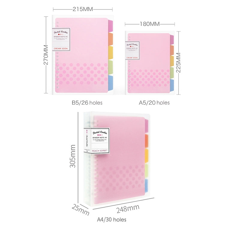 Quaderno a fogli mobili Rainbow Cookie A5 B5 A4