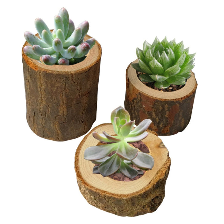 Set 3 pezzi tronchi naturali legno decorativi S M L