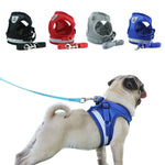 Guinzaglio regolabile riflettente per cani S, M, L, XL