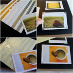 Set 5 adesivi fotografici per album fai-da-te multicolore