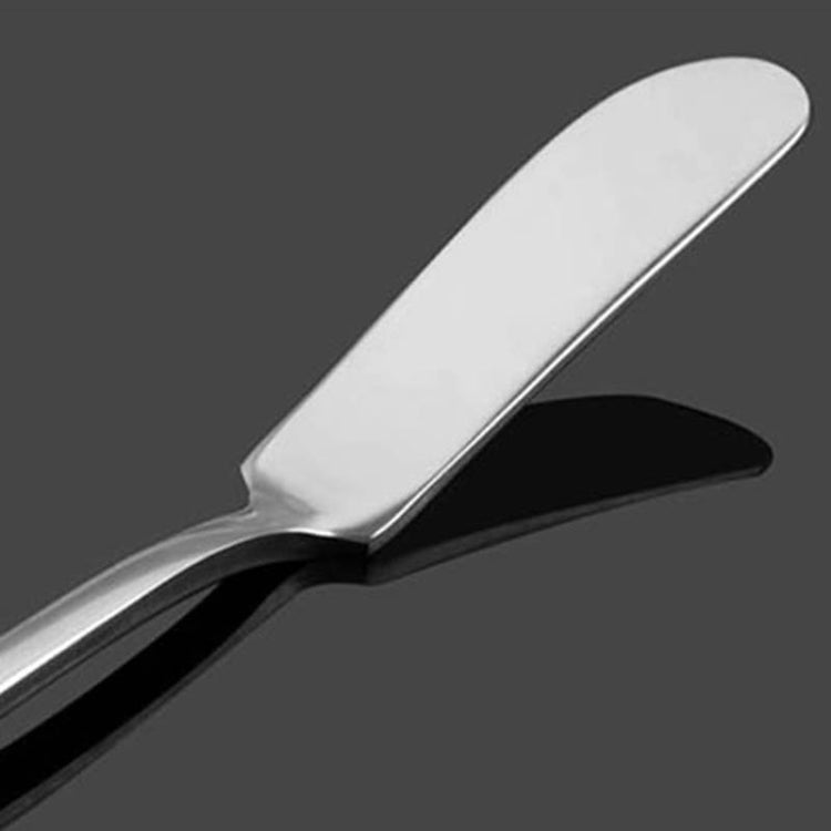 Coltello da burro in acciaio inossidabile 17 cm