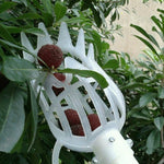Strumento in plastica per frutta con prugna e albicocca 20cm
