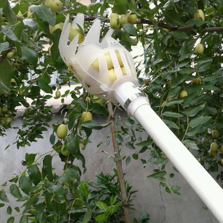 Strumento in plastica per frutta con prugna e albicocca 20cm