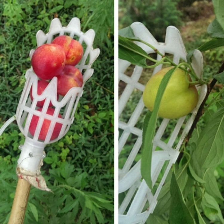Strumento in plastica per frutta con prugna e albicocca 20cm