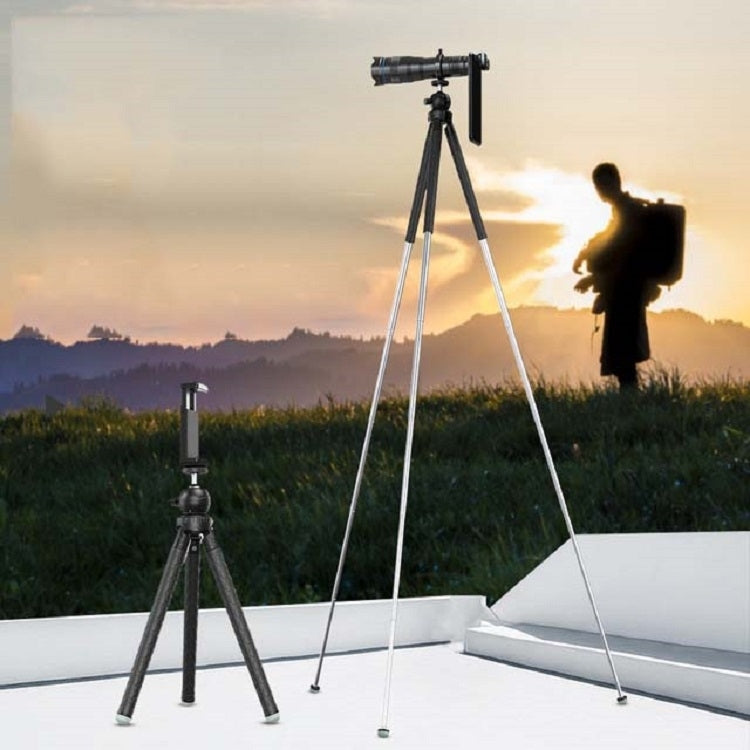 Telescopio 60X HD per smartphone con clip universale
