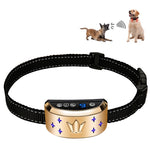 Collare elettronico antiabbaio per cani con display digitale