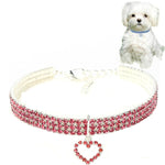 Set 2 collari elastici per cani e gatti S M L
