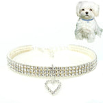 Set 2 collari elastici per cani e gatti S M L