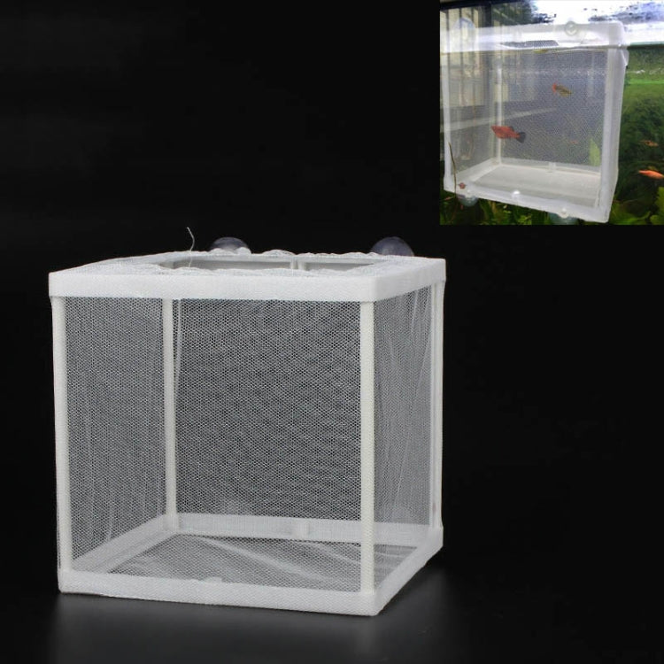 Incubatrice piccola per acquario isolamento pesci tropicali
