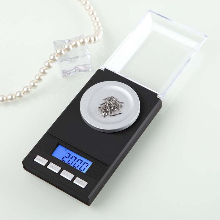 Bilancia elettronica portatile precisione 0,001g fino 100g