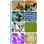 Microscopio digitale 2000X con display IPS HD da 7 pollici - immagine 9