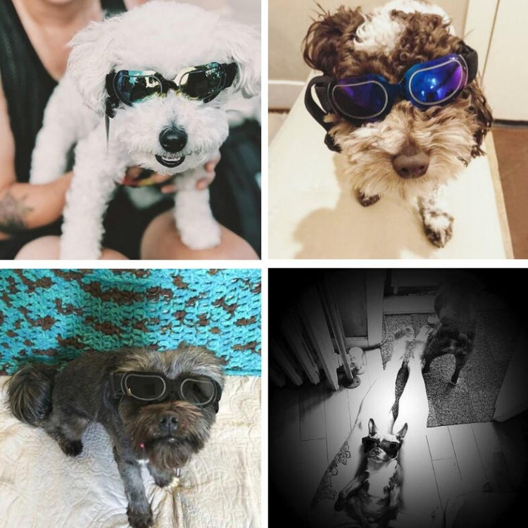 Occhiali da sole per cani e animali domestici