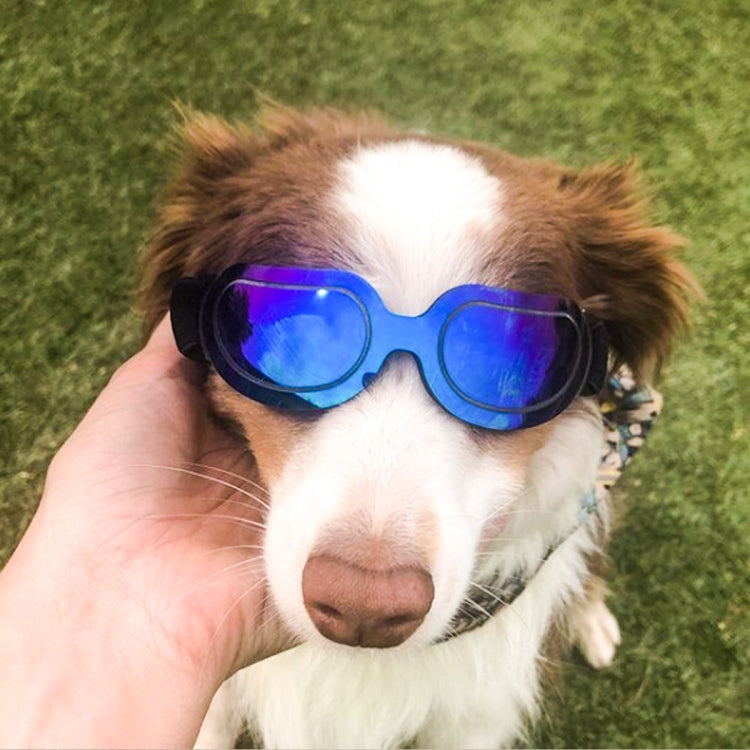 Occhiali da sole per cani e animali domestici