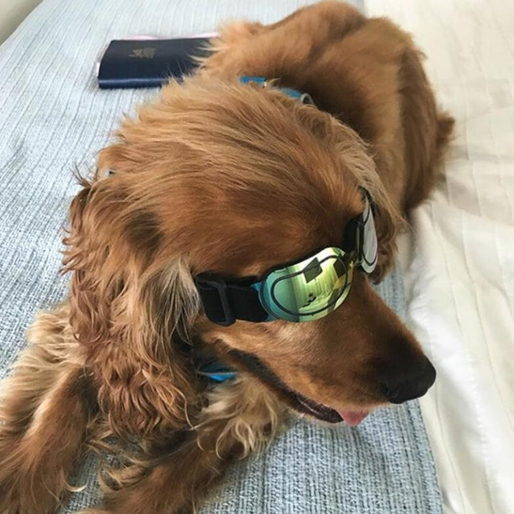 Occhiali da sole per cani e animali domestici