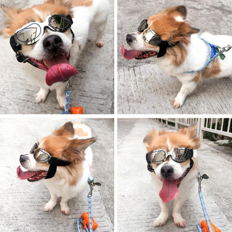 Occhiali da sole per cani e animali domestici
