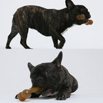 Giocattolo osso in nylon per pulizia denti cane 20cm