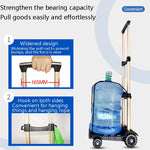 Carrello pieghevole in alluminio per trasporto merci 40 kg