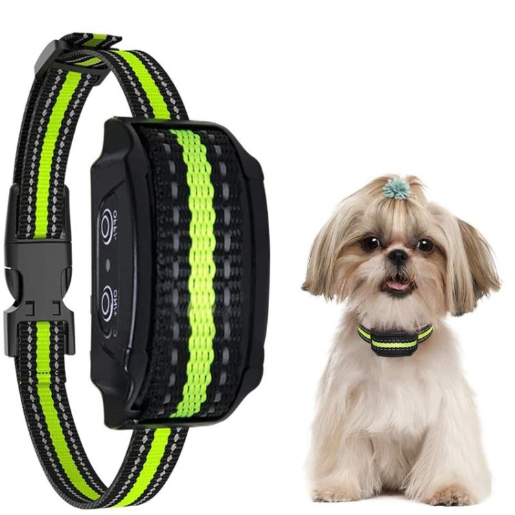 Addestratore automatico per cani impermeabile con ricarica USB
