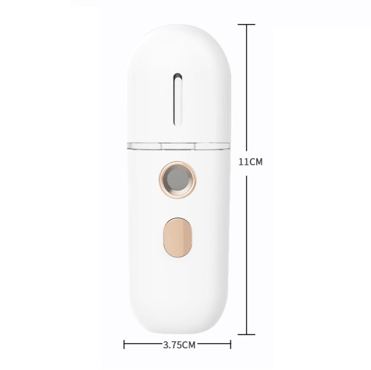Spruzzatore umidificante portatile ricaricabile 12ml