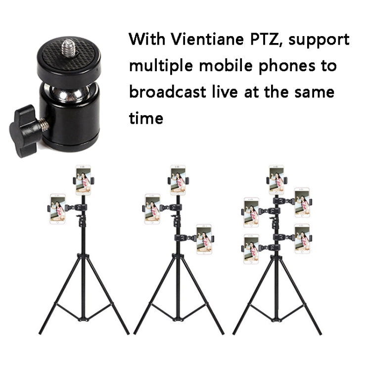 Interfaccia di conversione del supporto live da 3 PC per ZF0111, Universal Punitai