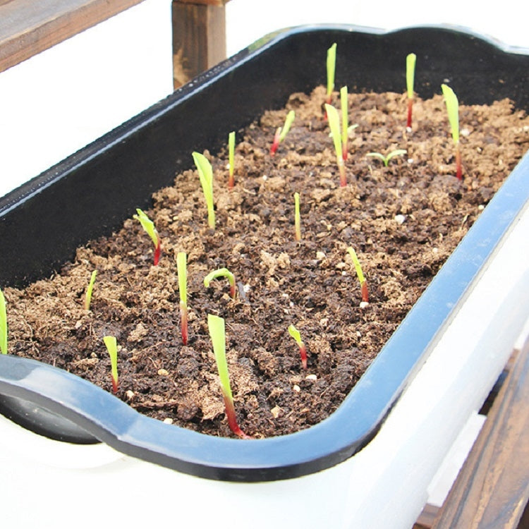 Vaso da fiori rettangolare autoassorbente in plastica