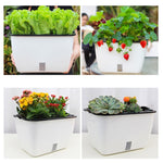 Vaso da fiori rettangolare autoassorbente in plastica