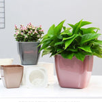 Set 3 vasi da fiori in plastica colorata con serbatoio acqua
