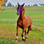 Maschera traspirante per cavallo anti-insetti