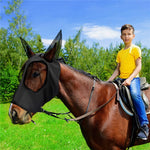 Maschera traspirante per cavallo anti-insetti