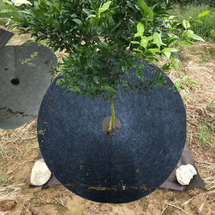 Panno anti-erba ecologico in tessuto non tessuto per giardinaggio