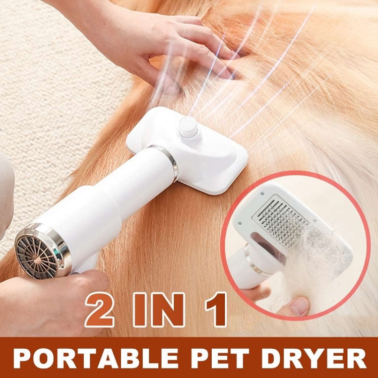 Pettine elettrico per animali domestici con plug EU/US/UK/AU