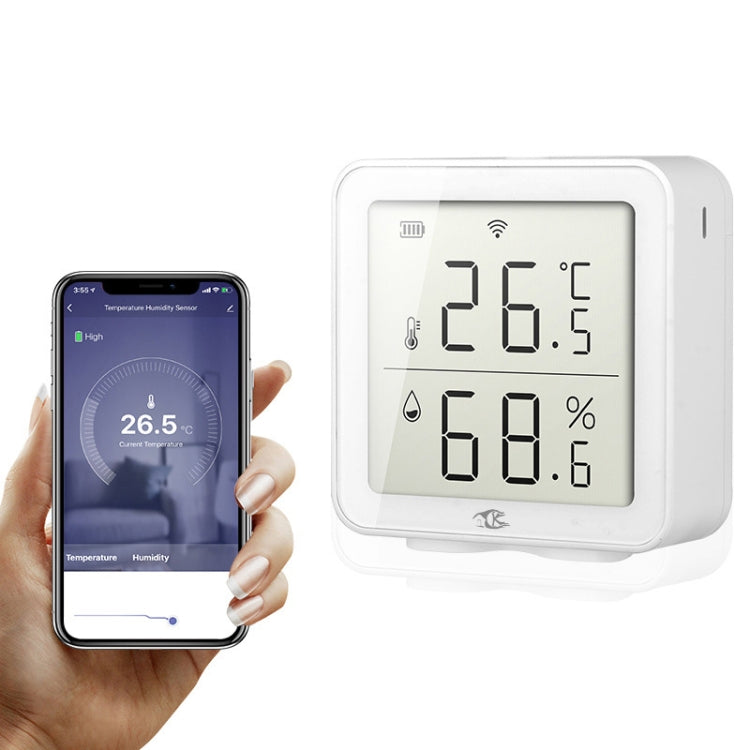 Termometro digitale wireless domestico TY-191