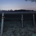 Repellente notturno solare per animali 209A 1pc