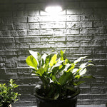 Lampada da parete solare giardino 8 LED con sensore a infrarossi